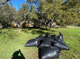 Leaf Removal by Frank Rawls for Charles L. in San Antonio, TX