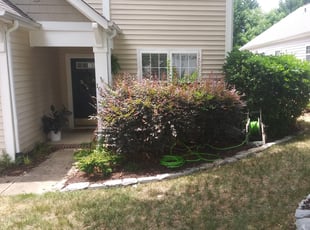 Bush Trimming by Cesar Cordero for Kimberly D. in Charlotte, NC
