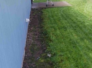 Weeding by Brandon Hill for Kathy B. in Gresham, OR