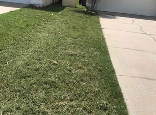 Jen A.'s Lawn Service service result