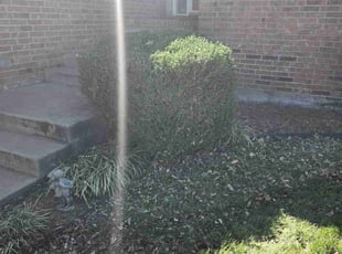 Bush Trimming by Chad Suenram for Dean C. in Andover, KS