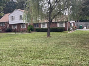 Regina Z.'s Bush Trimming service result