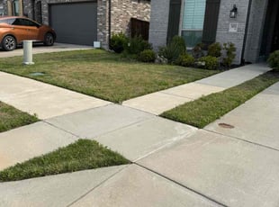 Jerry S.'s Lawn Care service result