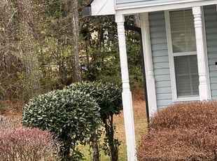 Bush Trimming by Louis Sampson for Adjei B. in Austell, GA
