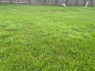 Missy P.'s Yard Cutting service result