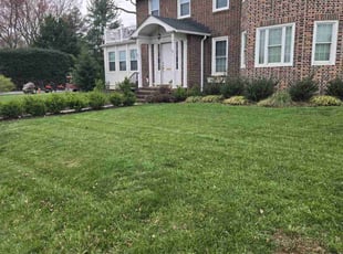 Brett T.'s Lawn Care service result