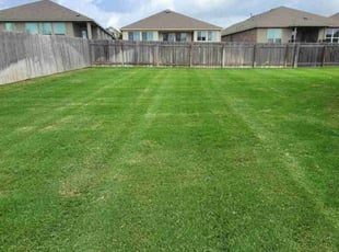 David M.'s Lawn Care service result