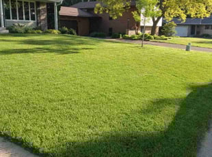 Jason A.'s Lawn Care service result