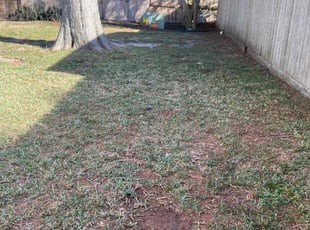 Leaf Removal by Miguel Arroyo for David D. in Houston, TX