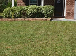 Cliff D.'s Lawn Care service result