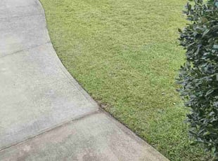 Henry D.'s Lawn Mowing Service service result