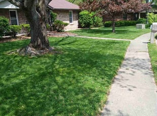 Christopher R.'s Lawn Mowing service result