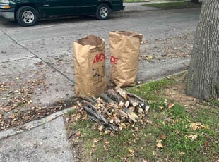 Cleanups by John Panich for Veeraj J. in Royal Oak, MI