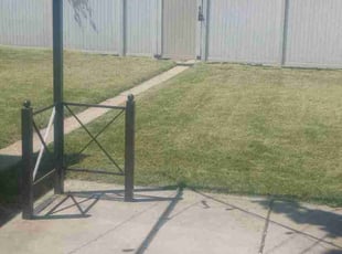 Barbara L.'s Grass Cutting service result