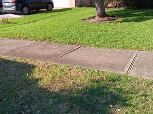 Leaf Removal by Presley Thomas for Shawn W. in Richmond, TX