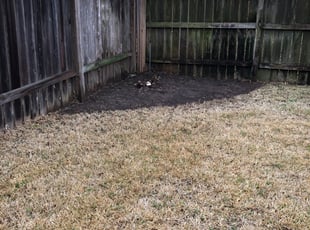 Cleanups by Dulce Aguirre for Pamela P. in Houston, TX