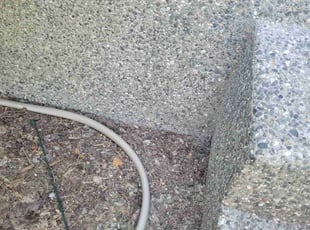 Weeding by Cipriano Ortiz for Jennifer B. in Bothell, WA