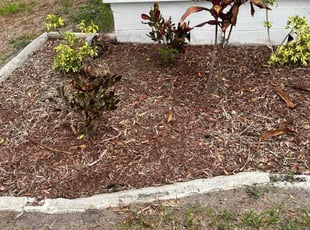 Weeding by Tony Sampson for Trevor V. in Tampa, FL