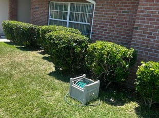 Bush Trimming by Shaun Waters for Teresita F. in Jacksonville, FL