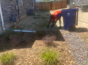 Cleanups by Tylon Newcomb for Marlene S. in Aurora, CO