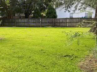 Franklin W.'s Grass Cutting service result