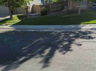 Weeding by Johnny Hines for Mike H. in Aurora, CO