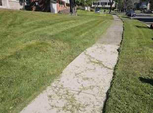 Breyonna P.'s Lawn Mowing service result