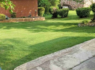 Angela S.'s Lawn Maintenance service result