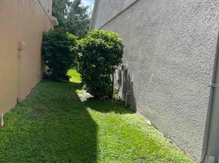 Bush Trimming by Ladarius Lathan for Lindsey L. in Windermere, FL