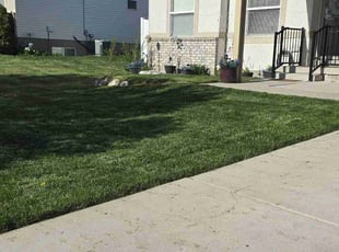 Gerri H.'s Lawn Care service result