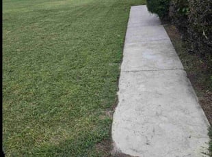 Patrick S.'s Lawn Mowing Service service result