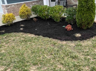 Mulching by Blake Nelson for Thomas d. in Murfreesboro, TN