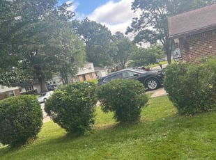Bush Trimming by Martin Stovall for James w. in Chesapeake, VA