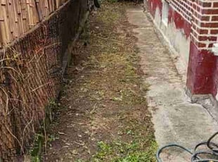 Laurie D.'s Leaf Removal service result