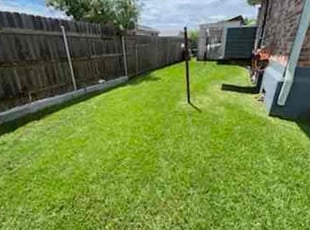 Rosalia m.'s Yard Cutting service result