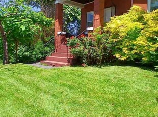 Frederica M.'s Lawn Service service result