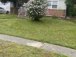 Carlos M.'s Lawn Care service result