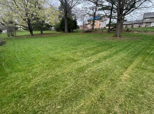 James P.'s Yard Cutting service result