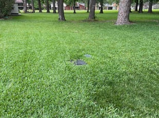 Ettienne G.'s Grass Cutting service result