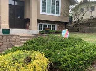 Bush Trimming by Leonard Hackensmith for Ian P. in New Brighton, MN