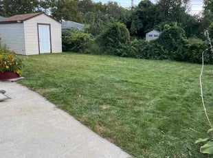 Peggy D.'s Yard Cutting service result