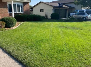 Joe O.'s Lawn Care service result