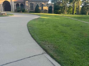 Stephanie S.'s Grass Cutting service result