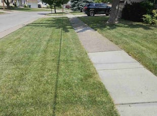 Melissa L.'s Lawn Service service result
