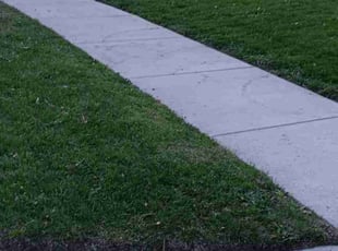 Arelis M.'s Grass Cutting service result