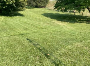 Sheylan P.'s Lawn Care service result