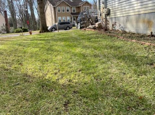Leaf Removal by Yobani Benitez for Mark R. in Annapolis, MD