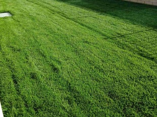 Bobby L.'s Lawn Mowing service result