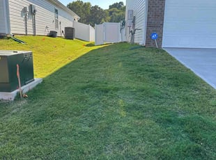 Elizabeth H.'s Lawn Mowing service result