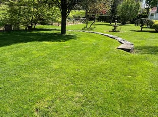 Christine A.'s Lawn Service service result